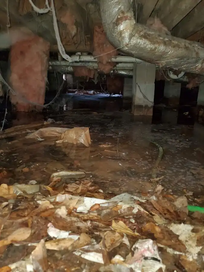 Crawl space flood assessment for Leak Detection & Repair in Perryton